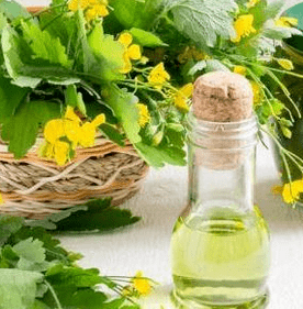 Celandine στον αγώνα ενάντια στο μανιτάρι